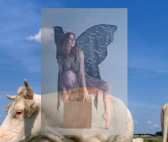 Transparent image of a fairy sitting on a cow