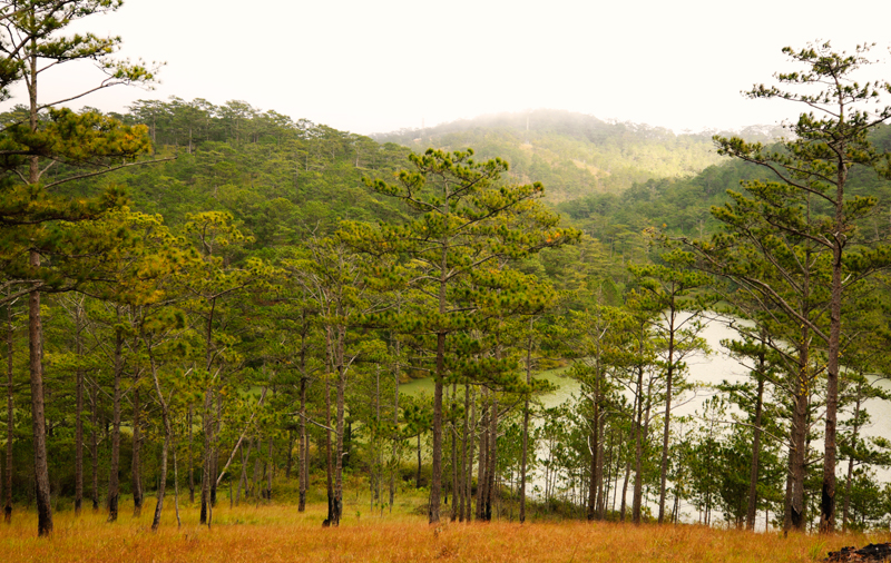 Forest, lake and mountains in Valley of Love, Da Lat, Vietnam