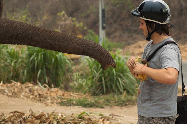 Andrei Verner is giving away bananas to an elephant