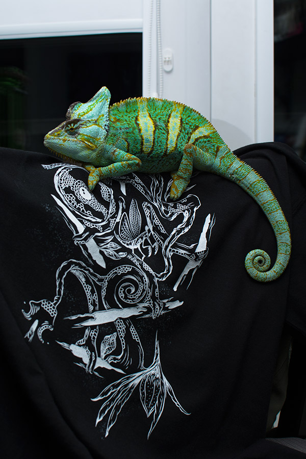 Pets I will not own t-shirts - Chameleon