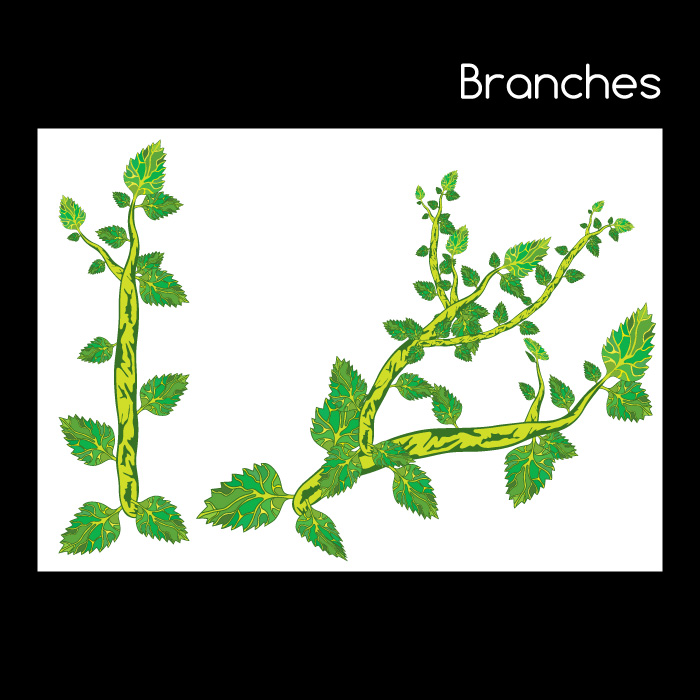 Plant pattern brush set for Adobe Illustrator CS by Andrei Verner