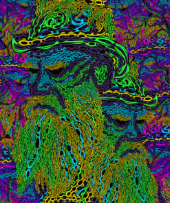 Leo Tolstoy’s Grave Psychedelic Fluorescent Backdrop UV Tapestry Blacklight Poster