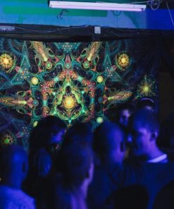 Reincarnation 2. Psychedelic Fluorescent Backdrop UV Tapestry Blacklight Poster UV Light