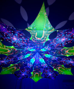 Alien Enlightenment - Trippy Alien & Alien Galaxy Design - UV-Reactive Canopy