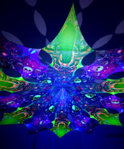 Alien Enlightenment - Trippy Alien & Space Skulls Design - UV-Reactive Canopy