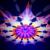 Frozen Corals - Buddha - Psychedelic UV-Reactive Canopy - 12 Petals Set