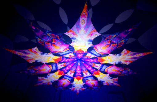 Frozen Corals - Buddha & Corals - Psychedelic UV-Reactive Canopy - 12 Petals Set