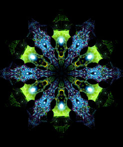 Enlightenment - Green Adept & Blue Adept - Psychedelic UV-Reactive Canopy