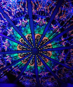 Alien Enlightenment - Alien Galaxy Design - UV-Reactive Canopy - UV Light Photo