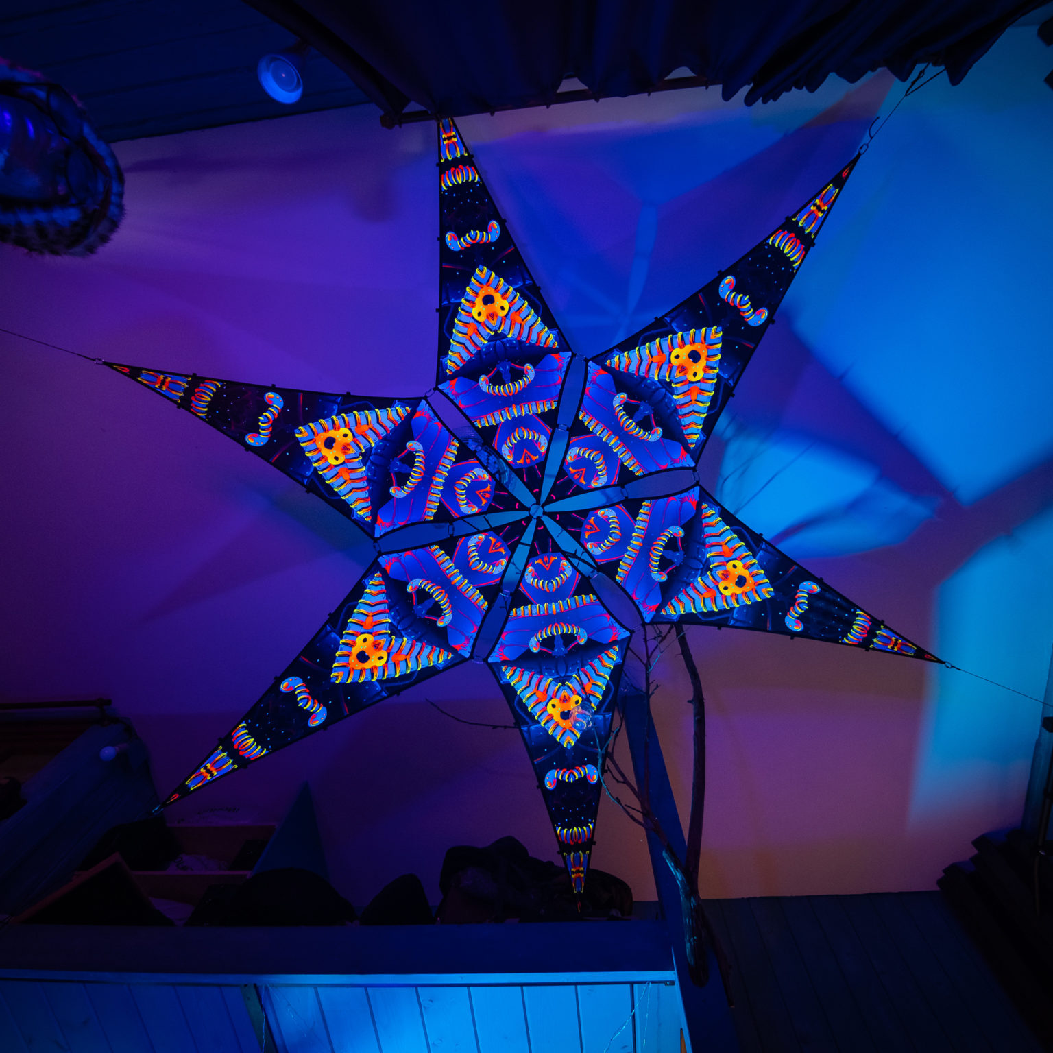 Cyber Venus - Blip-Blop - Psychedelic UV-Reactive Canopy - 6 petals set - Photo