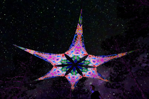 DMT-Fish - Psychedelic UV-Reactive Ceiling Decoration Canopy 6 Petals