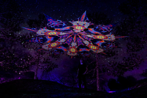 Cyber Venus Psychedelic UV-Reactive Canopy - 12 petals set - Radiance & Spine