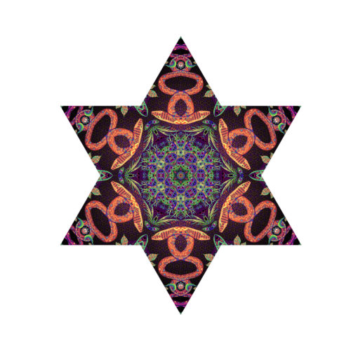 Jungle Snakes - Hexagram - UV-Canopy - Psychedelic Party Decoration - Flat Lay - Setup #2