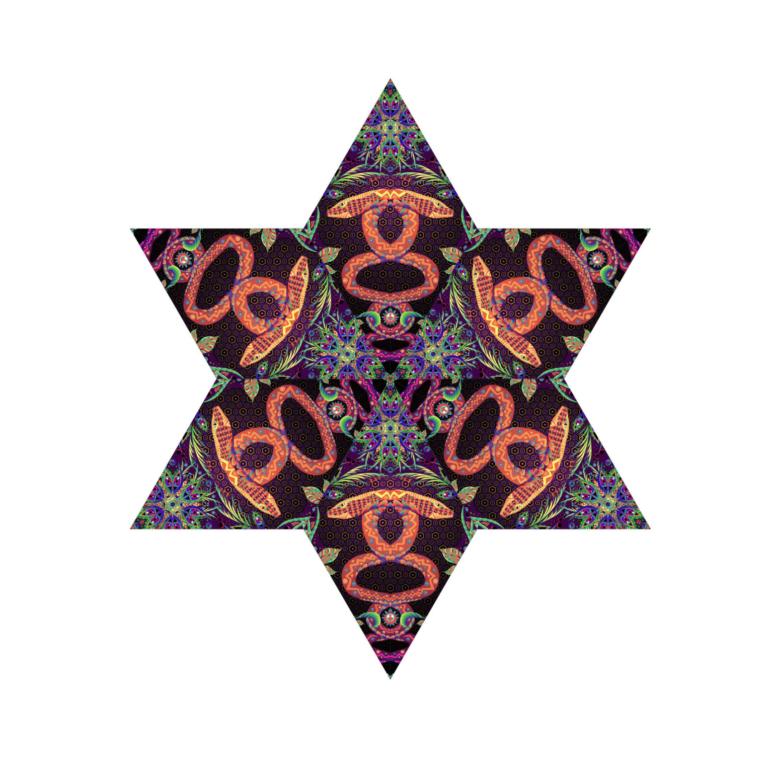Jungle Snakes - Hexagram - UV-Canopy - Psychedelic Party Decoration - Flat Lay - Setup #3