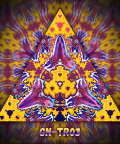Lord Ganesha - Triangle Design - TR03 - UV-Print on Stretchable Lycra