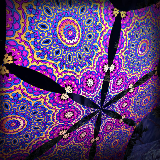 Kali in Acidland - Hexagram DM03 - Psychedelic UV-Canopy - 3D-Preview