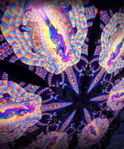 Cyber Venus - Hexagram DM01 - Psychedelic UV-Canopy - 3D-Preview