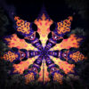 Winter Tale - Fire Fox & Murbuz - Psychedelic UV-Reactive Canopy - 12 petals set - 3D-Preview