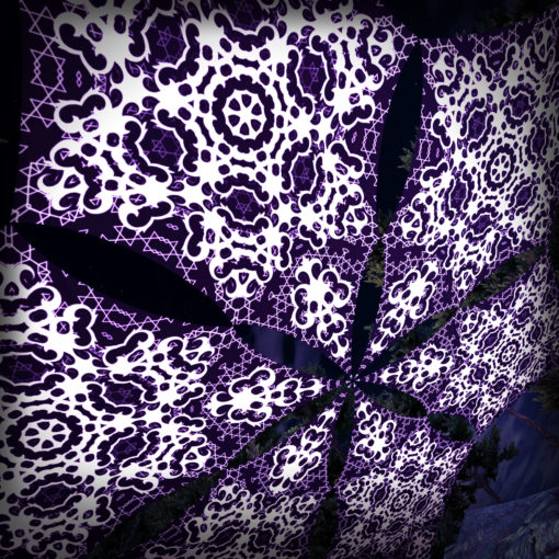 Winter Tale - Hexagram WT-BW-DM01 - Psychedelic UV-Canopy - 3D-Preview