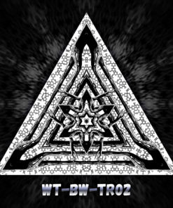 Winter Tale - WT-BW-TR02 - Black Dragons - Psychedelic Black&White Ceiling Decoration Canopy - Triangle Design Preview