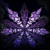 Winter Tale - Black Dragons & Snowy Forest - Psychedelic Black&White Canopy - 12 petals set - 3D-Preview