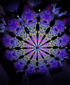 Lord Hanuman - Monkeys -Psychedelic UV Canopy - 12 petals set - Large Size 11m diameter -3D-Preview in a club