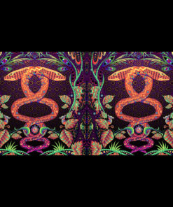 Jungle Snakes - DJ-booth - Art -Full