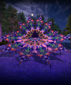 Herbal Harmony - Orange Storm -Psychedelic UV DJ-Stage - 12 petals set - 3D-Preview