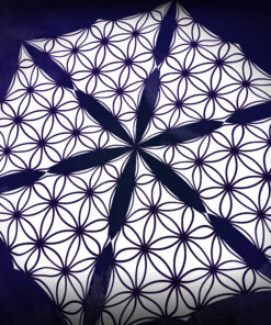 Flower of Life - FL-TR01 - Psychedelic Black&White Canopy - 6 triangles set - 3D-Preview - Forest