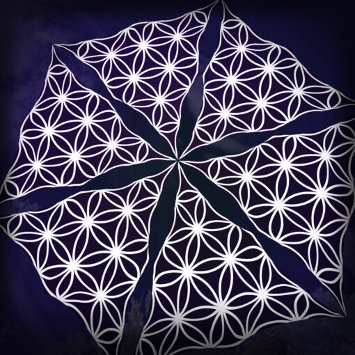 Flower of Life - FL-TR02 - Psychedelic Black&White Canopy - 6 triangles set - 3D-Preview - Forest