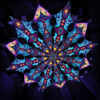 Mushroom Temple & Cosmic Oracle - Psychedelic UV Canopy - 12 petals set - 3D-Preview - Club