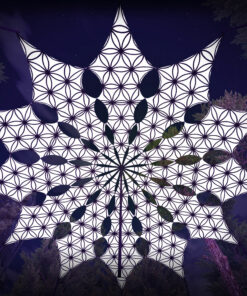 FL-PT01 - Psychedelic Black and White Canopy - 12 petals set - 3D-Preview - Forest - 