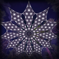 FL-PT02 - Psychedelic Black and White Canopy - 12 petals set - 3D-Preview - Forest - 