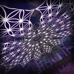 FL-PT02 - Psychedelic Black and White Canopy - 12 petals set - 3D-Preview - Forest - 