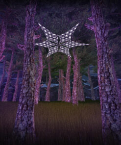 FL-PT02 - Psychedelic Black and White Canopy - 6 petals set - 3D-Preview - Forest - 