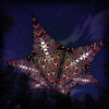 Winter Tale - Hexagram and Pyramid - WT-HXP02 - UV-Canopy - Psychedelic Party Decoration - 3D-Preview