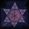 JS-HX02 Hexagon and 6 Triangles JS-TR03 - 3D-Preview - Forest - Psychedelic UV-Reactive Canopy – Ceiling Decoration