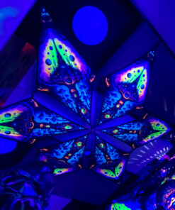 Mystic Spores - MS-DM04 - UV-Hexagram - Interior Photo in UV light