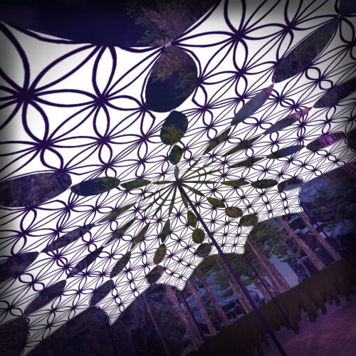 FL-PT01 - 12 Petals Set - Black&White Ceiling Decoration - 3D-Preview