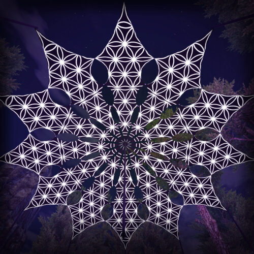 FL-PT02 - 12 Petals Set - Black&White Ceiling Decoration - 3D-Preview