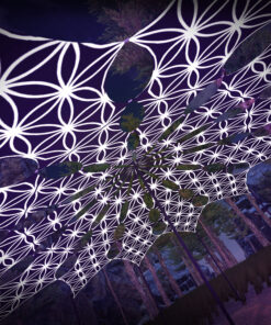 FL-PT02 - 12 Petals Set - Black&White Ceiling Decoration - 3D-Preview