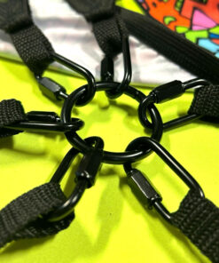 Central Solid Metal Ring and Carabiners