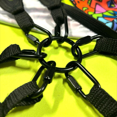 Central Solid Metal Ring and Carabiners