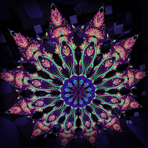 Tropical Venom - 12 Petals Canopy Set - UV-Reactive Flurescent Ceiling Decoration - 3D-Preview