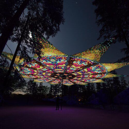 Trippy Pillar and Geoshroom - 12 Petals Canopy Set - UV-Reactive Flurescent Ceiling Decoration - 3D-Preview