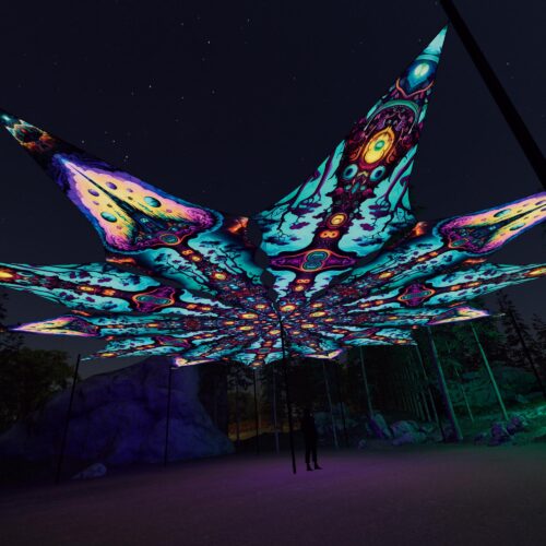 Mushroom Temple and Cosmic Oracle - 12 Petals Canopy Set - UV-Reactive Flurescent Ceiling Decoration - 3D-Preview