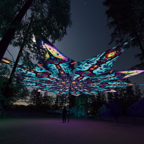 Mushroom Temple and Cosmic Oracle - 12 Petals Canopy Set - UV-Reactive Flurescent Ceiling Decoration - 3D-Preview