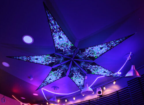 Blue Adept - 6 Petals Canopy Set - UV-Reactive Flurescent Ceiling Decoration - UV-Light