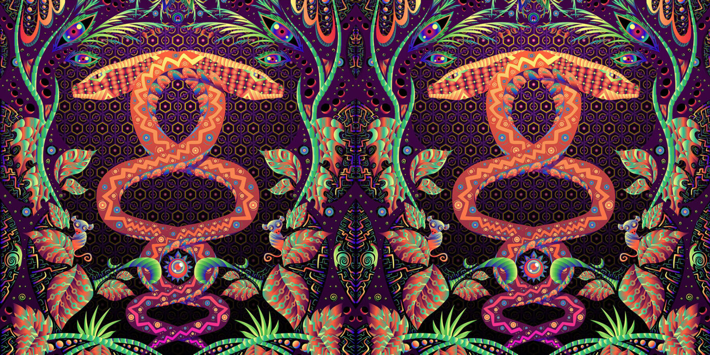 Jungle Snakes - DJ-Booth - Art by Andrei Verner