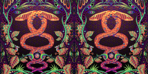 Jungle Snakes - DJ-Booth - Art by Andrei Verner